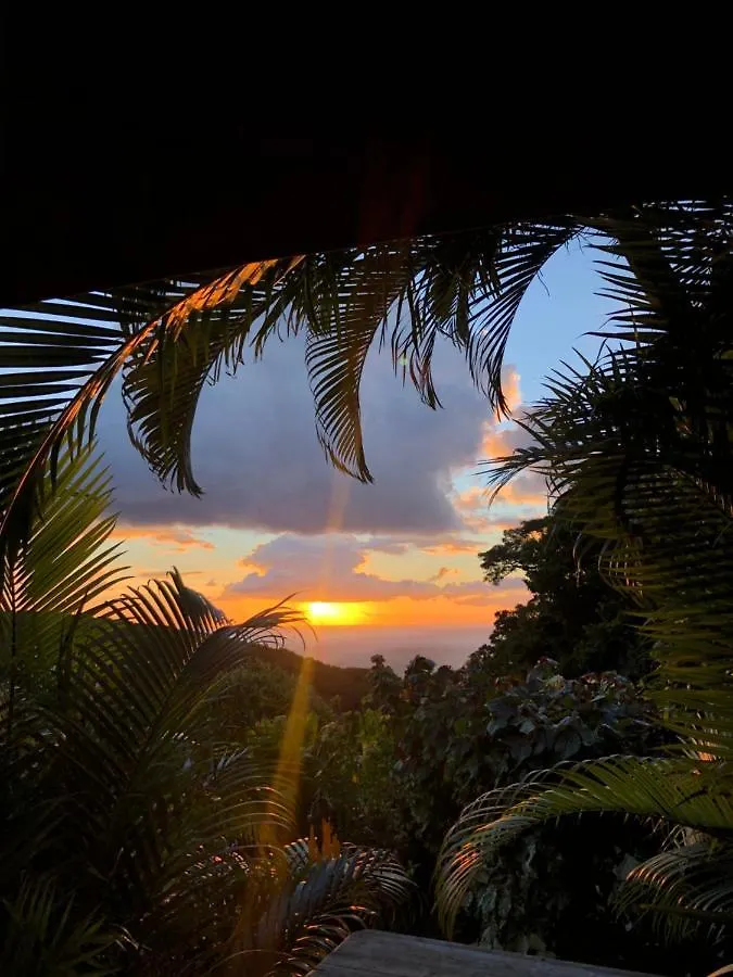 Le Domaine du Rocher Noir Pointe-Noire Guadeloupe